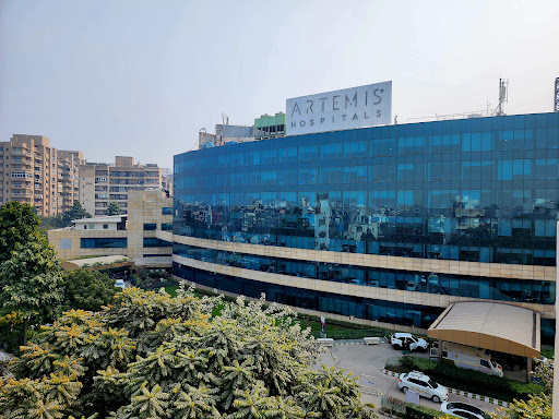 Artemis Hospital